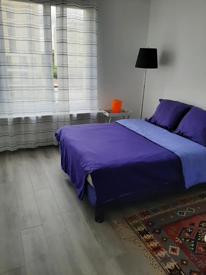 Appartement Cosy De Centre Ville Charenton-le-Pont Kültér fotó